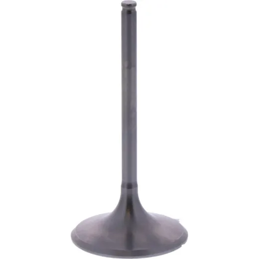 Einlassventil titan Prox 2814172