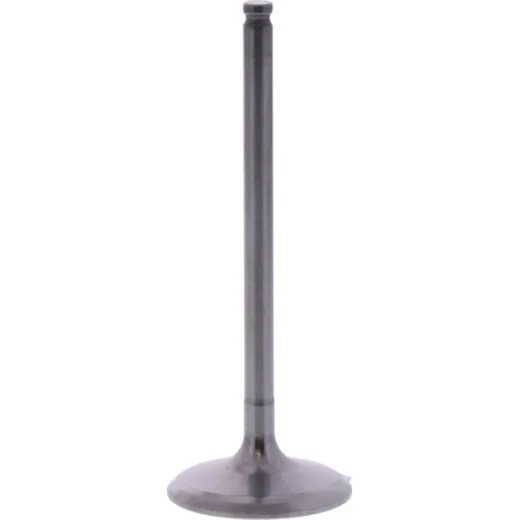Einlassventil titan Prox 2824192