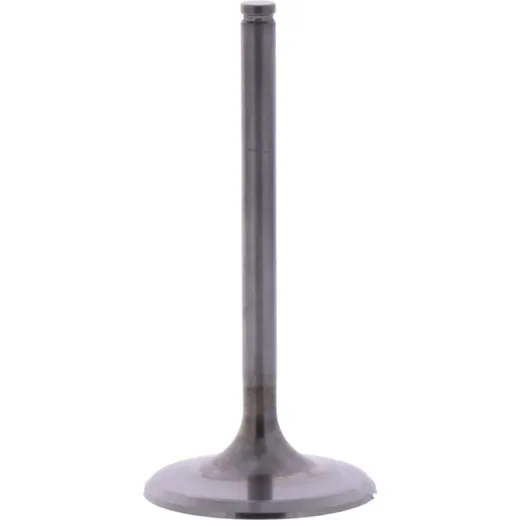 Einlassventil titan Prox 2864192