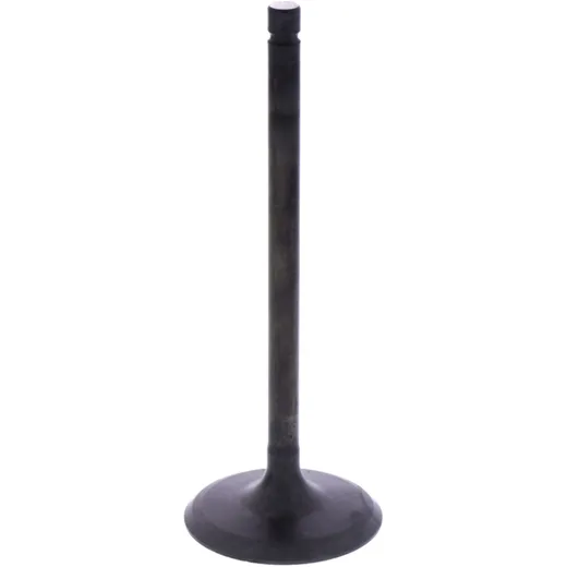 Intake valve (orig spare part) 1009395