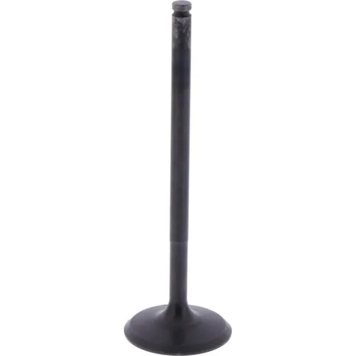 Intake valve (orig spare part) 1009403