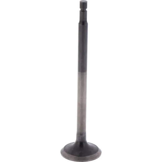 Outlet valve (orig spare part) 1009411