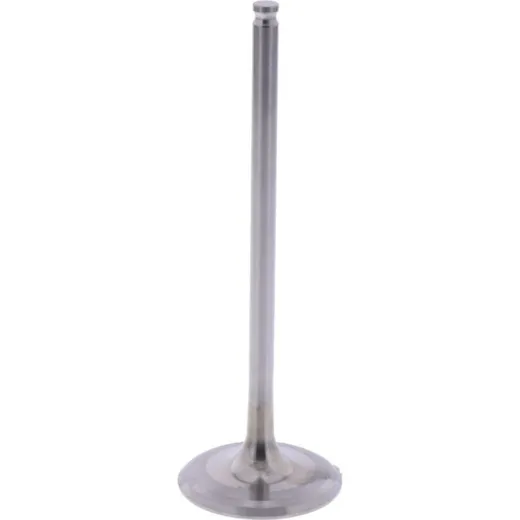 Intake valve (orig spare part) 1009420