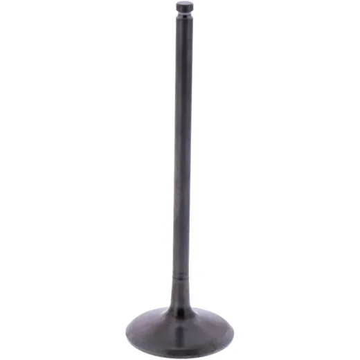 Intake valve (orig spare part) 1009423