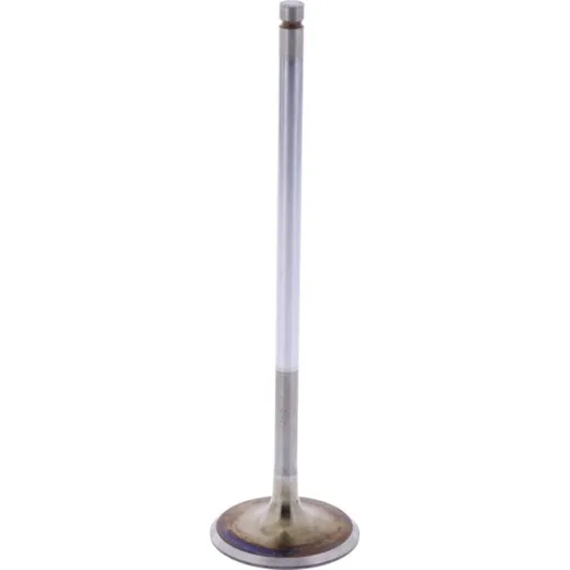 Intake valve (orig spare part) 1009512