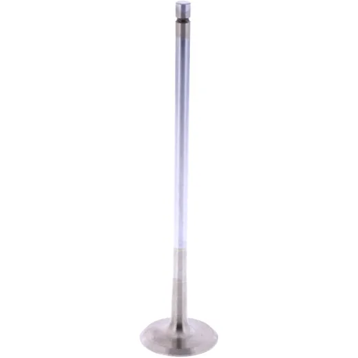 Exhaust valve (OE spare part) for: BMW R