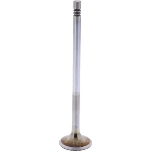Intake valve (orig spare part) 1009518