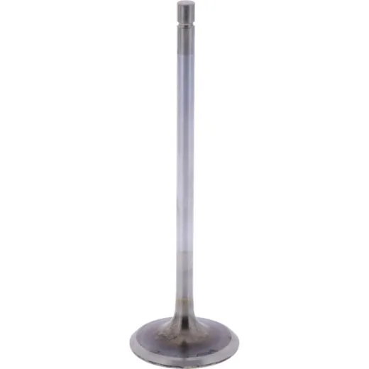 Intake valve (orig spare part) 1009526