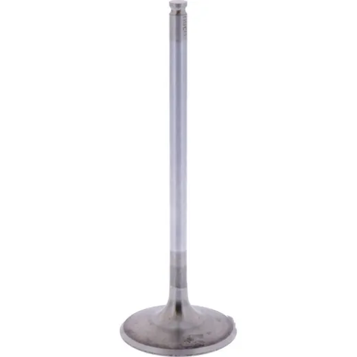 Intake valve (orig spare part) 1009547