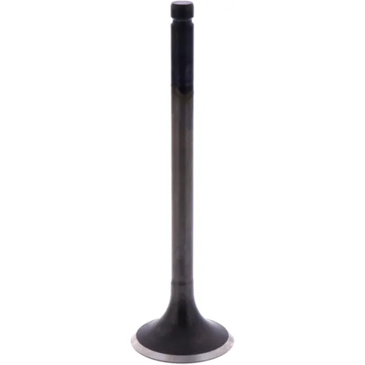 Intake valve (orig spare part) 1009599