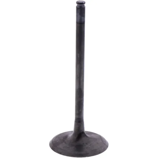 Intake valve (orig spare part) 1009752