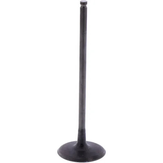 Intake valve (orig spare part) 1009754