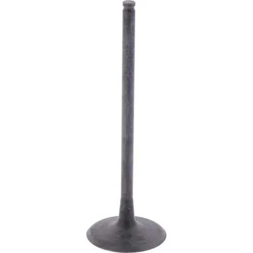 Intake valve (orig spare part) 1009756