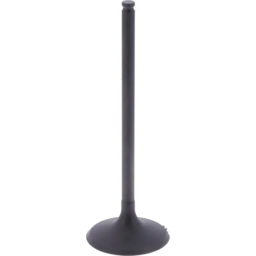 Intake valve (orig spare part) 1009764
