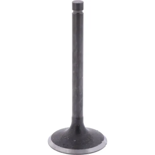 Intake valve (orig spare part) 1009765