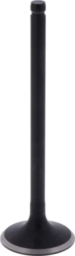 Intake valve (OE spare part) for: Kawasaki GT, Z, ZR