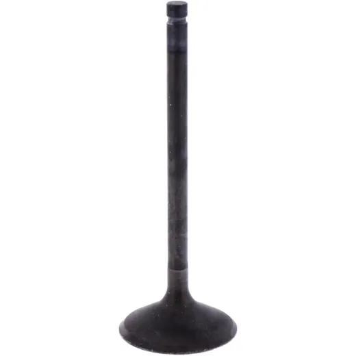 Intake valve (orig spare part) 1009768