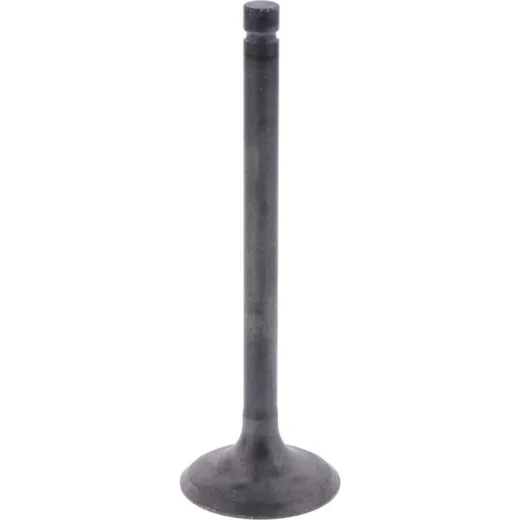 Intake valve (orig spare part) 1009769