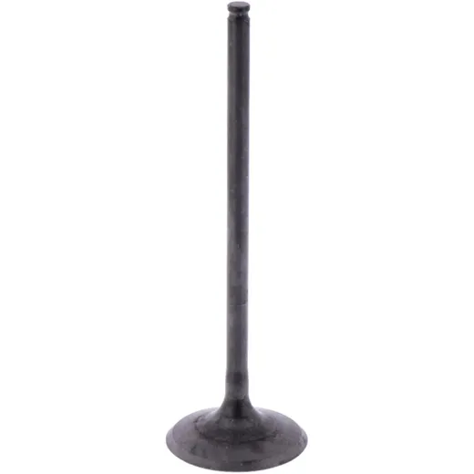 Intake valve (orig spare part) 1009772