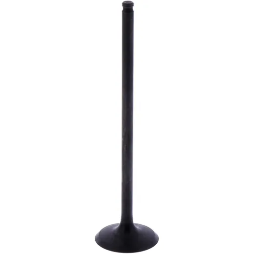 Intake valve (orig spare part) 1009773