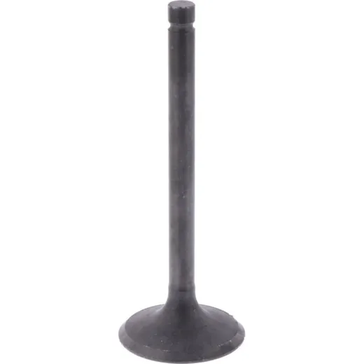 Intake valve (orig spare part) 1009780