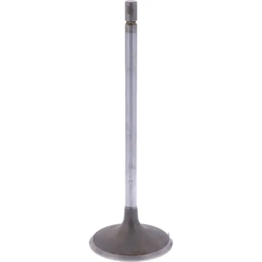 Intake valve (orig spare part) 1013081