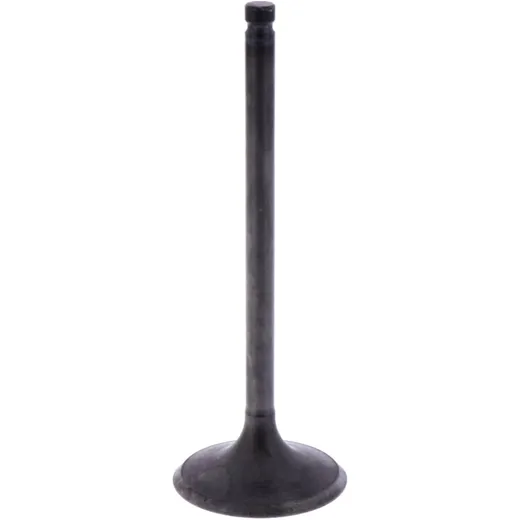 Intake Valve OE Spare Part for Motorcycles