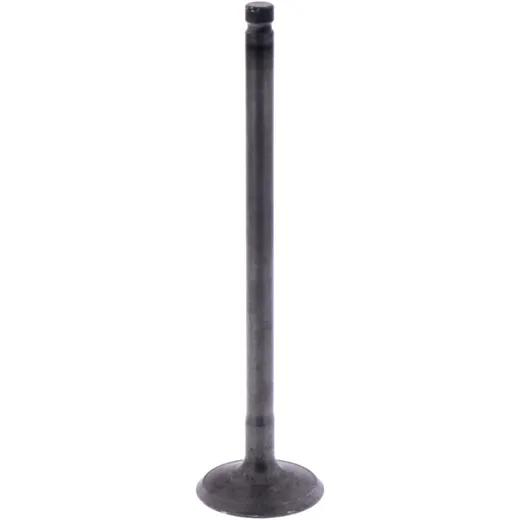 Intake Valve OE Spare Part