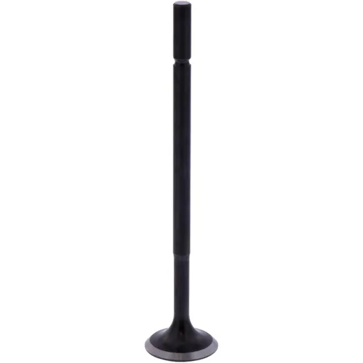 Intake valve 2 (orig spare part) 1013202