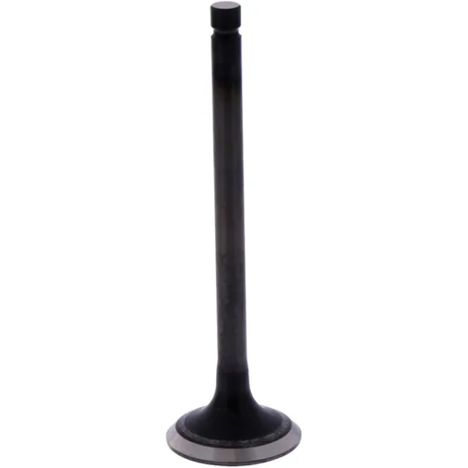 Outlet valve (orig spare part) 1013207