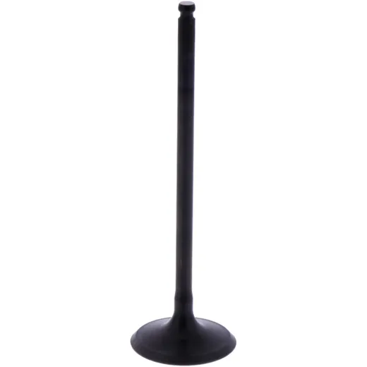 Intake valve (orig spare part) 1013214