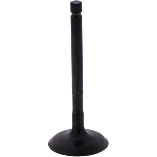 Intake Valve for Motorcycles 7471726