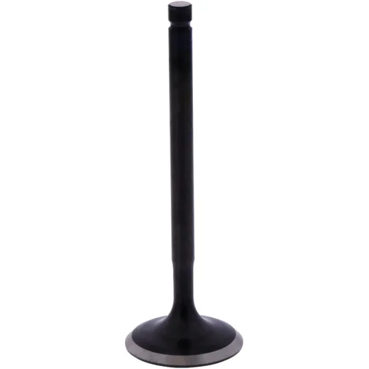 Intake Valve for Motorcycles 7471727