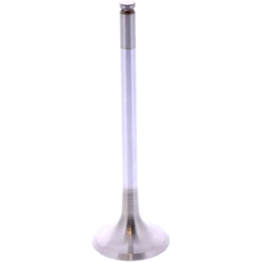 Exhaust valve (OE spare part) for: Beta RR