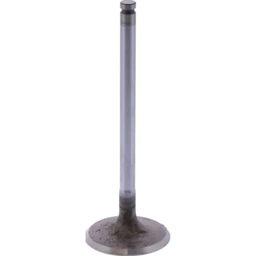 Intake valve (orig spare part) 1105156