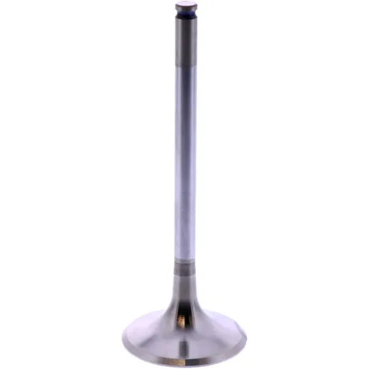 Intake valve (OE spare part) for: Beta RR