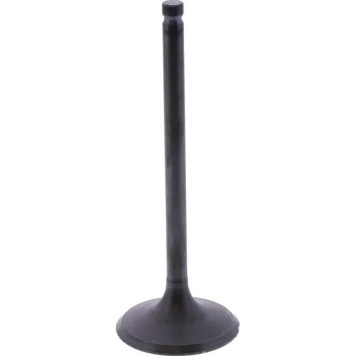 Intake valve (orig spare part) 1105163