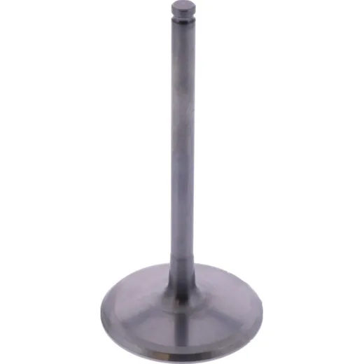 Intake valve titanium prox