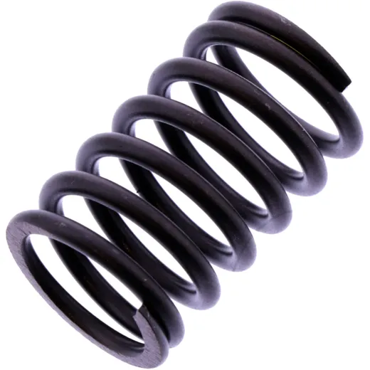 Valve spring for: BMW R
