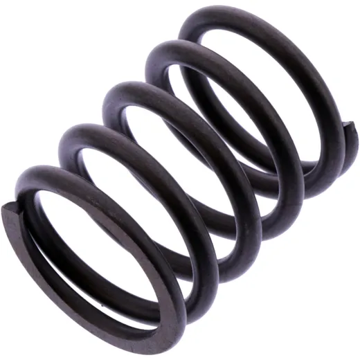 Valve spring for: BMW R 7471961