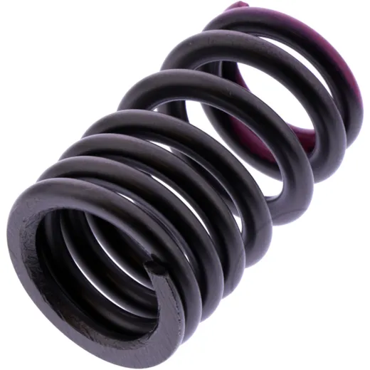 Valve spring (OE spare part) for exhaust valve for: BMW S, G