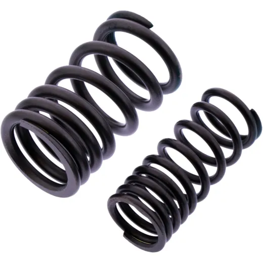 Valve spring (OE spare part) for inlet valve for: BMW S, G, HP4