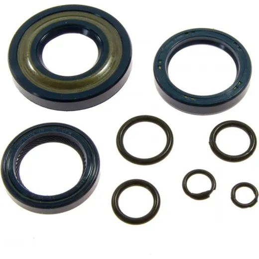Engine oil seal kit 6651