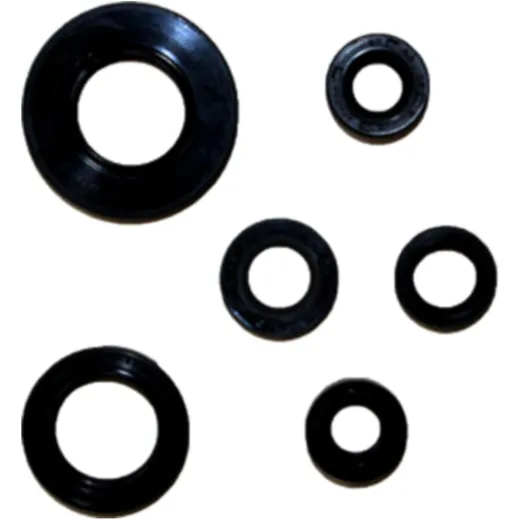 ENGINE OIL SEAL KIT for Motorcycles 7519689