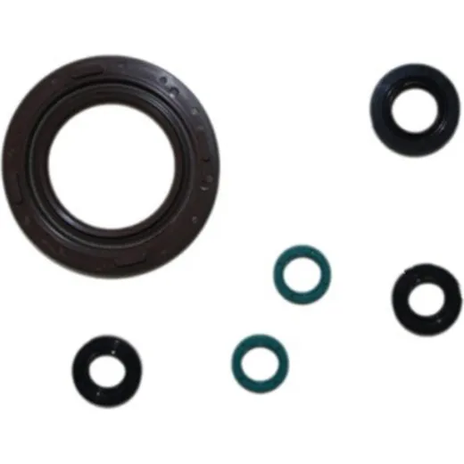 Engine oil seal kit P400485400158