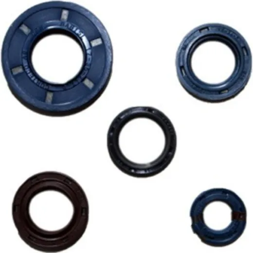 Shaft seal set athena P400220400262
