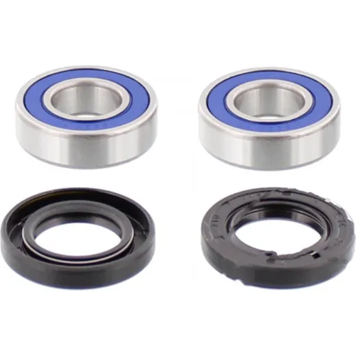Wheel bearing and seal kit 251070