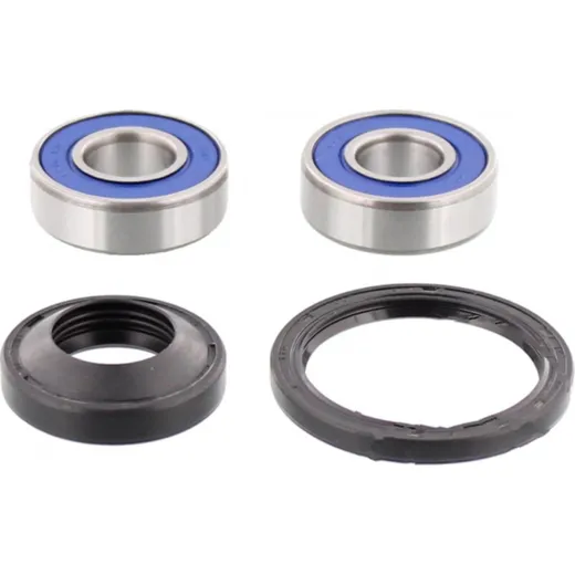 Wheel bearing and seal kit 251120