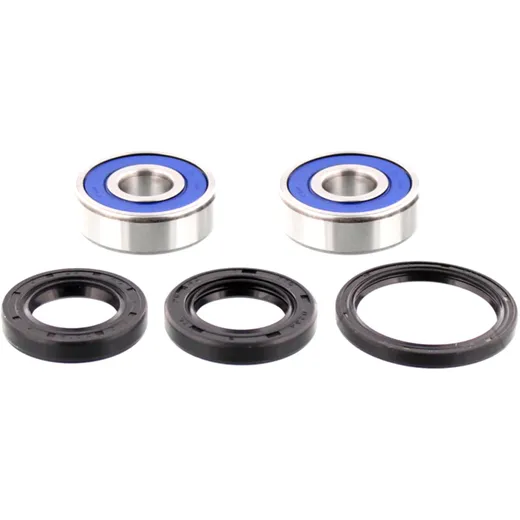 Wheel bearing and seal kit 251319