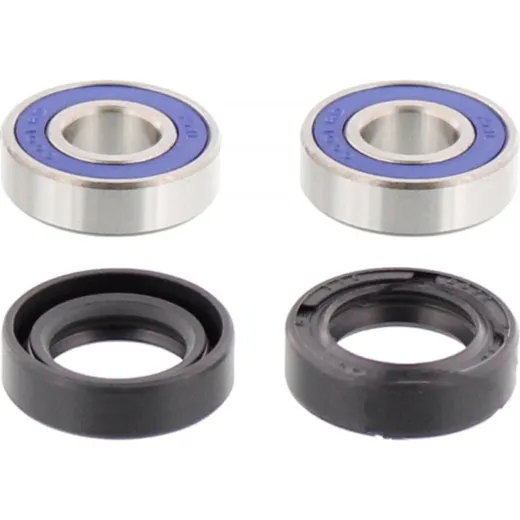 Wheel bearing and seal kit 251009